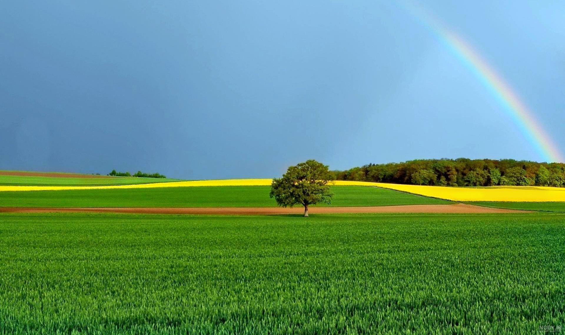 عکس پروفایل طبیعت بکر | Beautiful photography nature, Nature ... عکس پروفایل طبیعت بکر | Beautiful photography nature, Nature ...