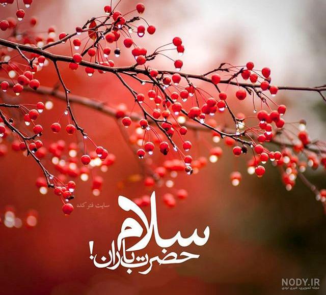 عکس کتاب داستان دیو و دلبر عکس کتاب داستان دیو و دلبر