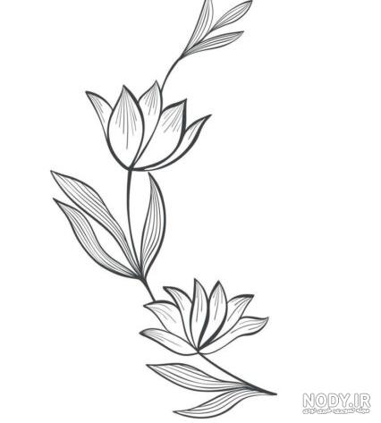 عکس گل برای نقاشی روی پارچه عکس گل برای نقاشی روی پارچه