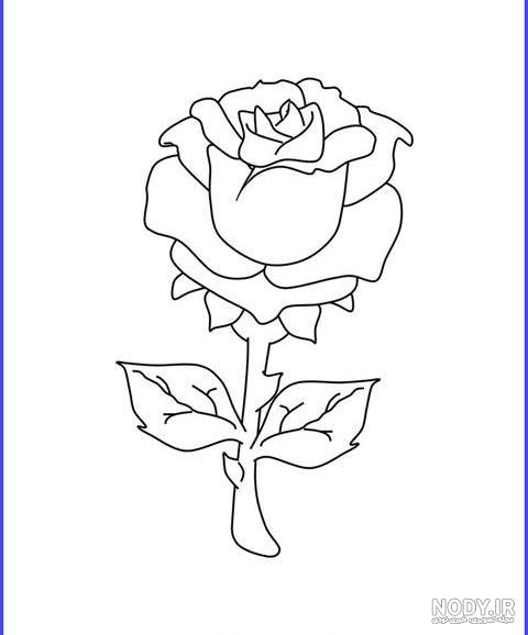 نقاشی گل برای کودکان و رنگ آمیزی های جالب انواع گل های زیبا نقاشی گل برای کودکان و رنگ آمیزی های جالب انواع گل های زیبا