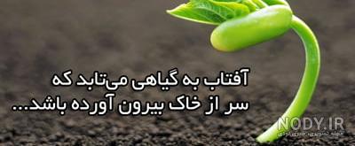 😊 - عکس ویسگون 😊 - عکس ویسگون