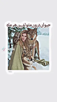 بهترین بازی های گروهی خانگی و فضای باز؛ انواع بازی های دسته جمعی ... بهترین بازی های گروهی خانگی و فضای باز؛ انواع بازی های دسته جمعی ...