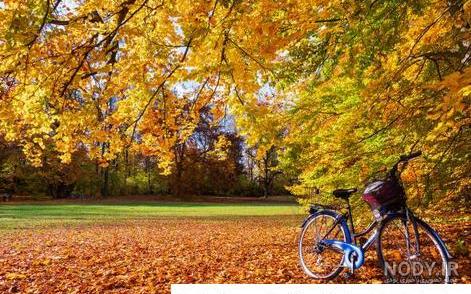 تصاویر زیبای طبیعت فول اچ دی - کامل (مولیزی)