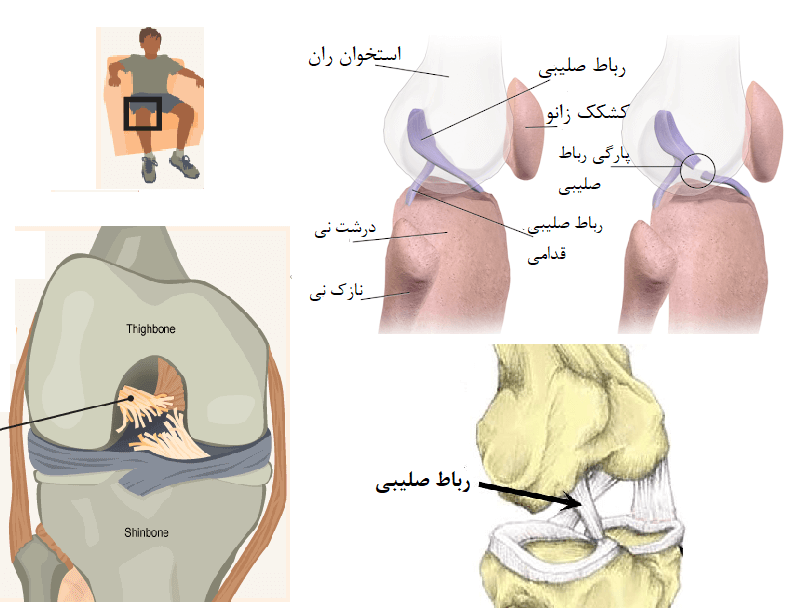 درباره استاد حمید آذر | PDF