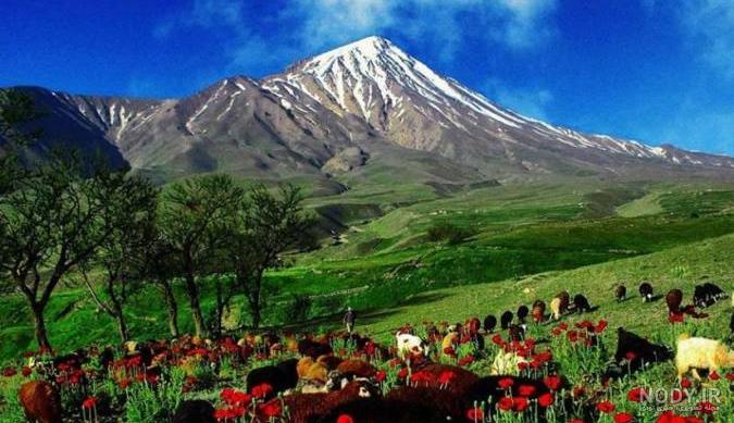 طبیعت زیبا و رنگارنگ پاییز در سوئیس + عکس طبیعت زیبا و رنگارنگ پاییز در سوئیس + عکس