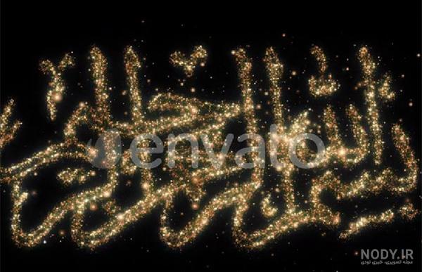 عجیب‌ترین ماهی دنیا ؛ ماهی صخره نورد (فیلم)