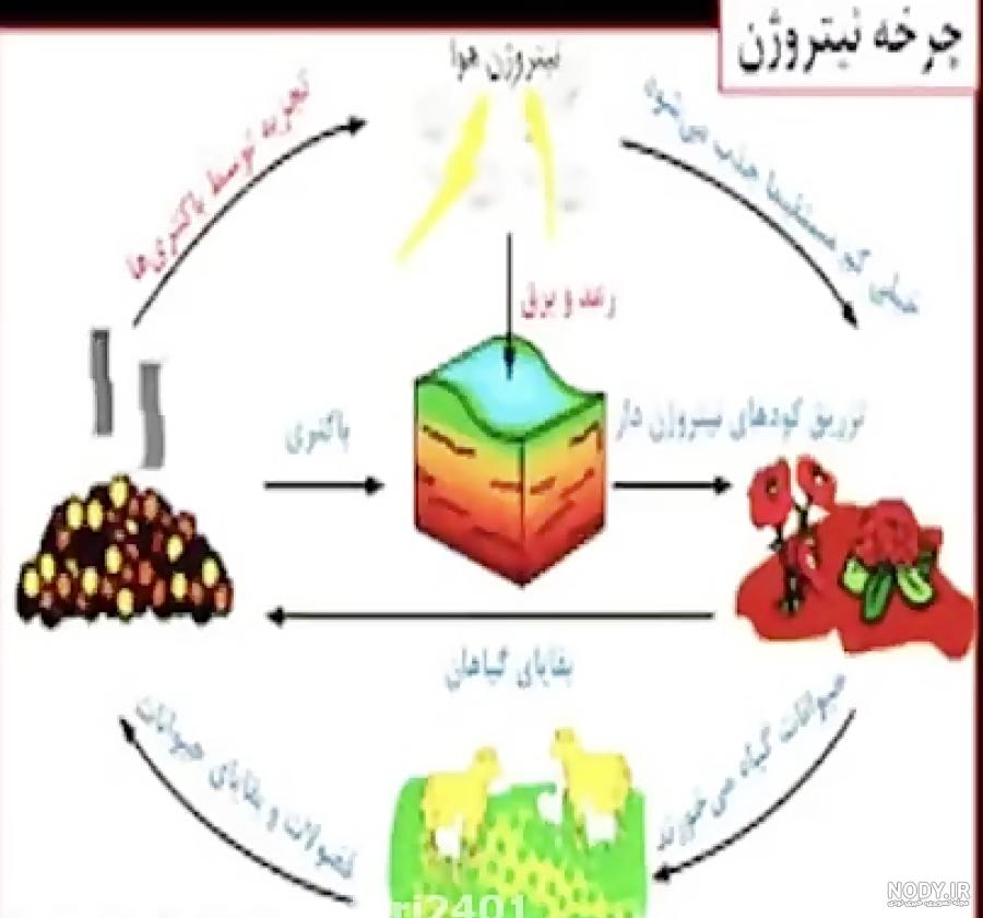 #علی_صفری #آرتا_رحیمی #شعرنوش #شعر_پارسی #تک_بیتی #عاشقانه_ها #عکس ...