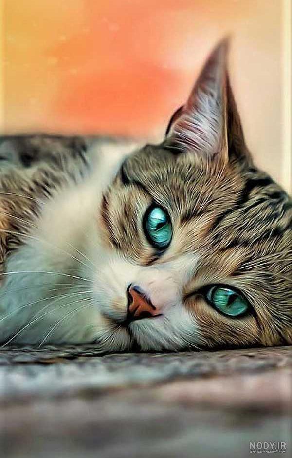 عکس های زیبا ...