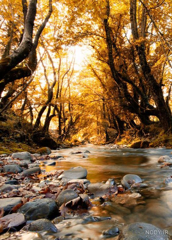 عکس طبیعت برای استوری عکس طبیعت برای استوری