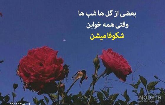 عکس نوشته با زبان کره ای