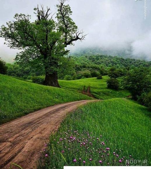 عکس هایی از زیبایی های طبیعت در فصل پاییز عکس هایی از زیبایی های طبیعت در فصل پاییز
