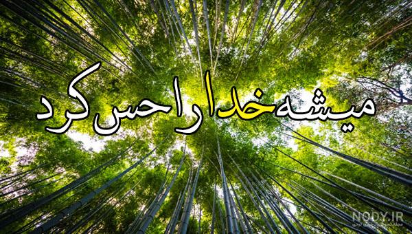 عکس واتساپ جدید | عکس برای پروفایل واتساپ دخترانه | عکس برای ...
