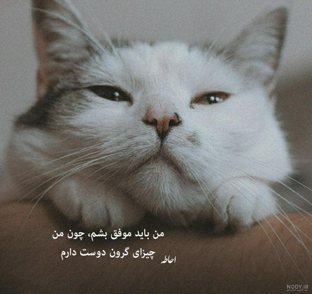 متن انگیزشی برای موفقیت + 30 عکس پروفایل انگیزشی برای رسیدن به هدف متن انگیزشی برای موفقیت + 30 عکس پروفایل انگیزشی برای رسیدن به هدف