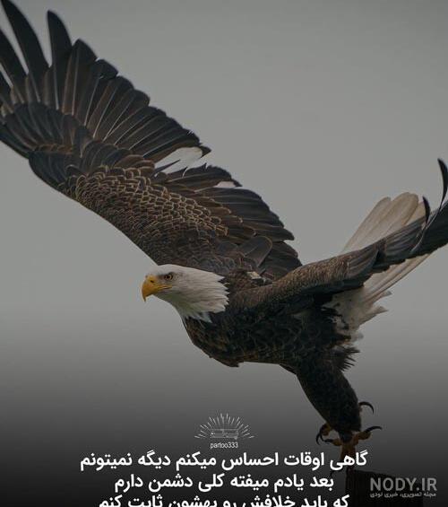 متن انگیزشی موفق شدن + عکس پروفایل و عکس نوشته با موضوع من موفق می شوم متن انگیزشی موفق شدن + عکس پروفایل و عکس نوشته با موضوع من موفق می شوم