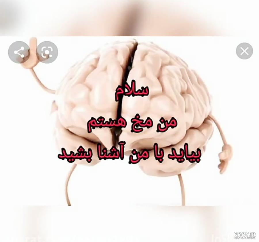 متن و سرانجام کسی خواهد آمدو با مه... | زیبا متن