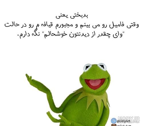 جملات و پروفایل نیش دار جدید به فامیل، دوست و خانواده شوهر