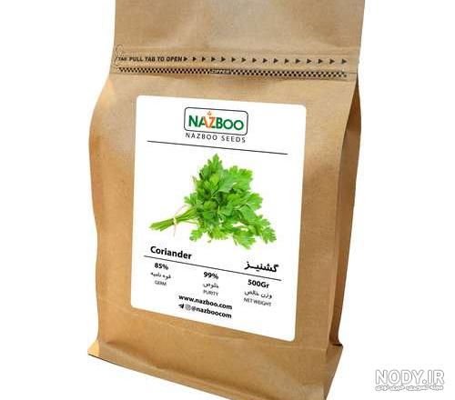 خواص مارچوبه ، 10 مورد از خاصیت ها و مضرات مصرف مارچوبه