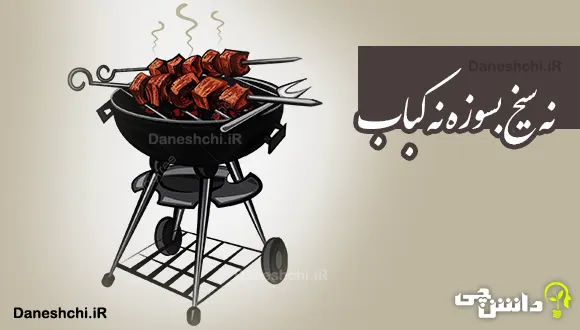 ضرب المثل ایرانی اشک تمساح میریزد ، متن ، کلیپ ، ایران ، ایرانی