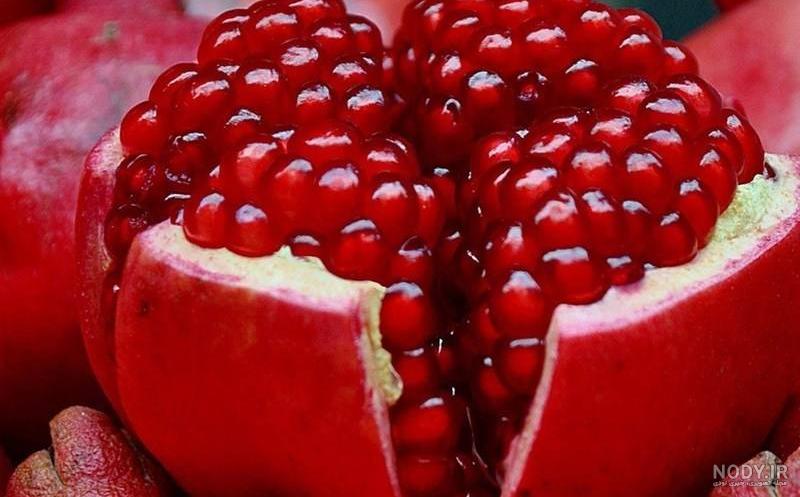 عکس با کیفیت طرح یا پوستر شب یلدا انار های فانتزی متشکل از خطوط و گل ...
