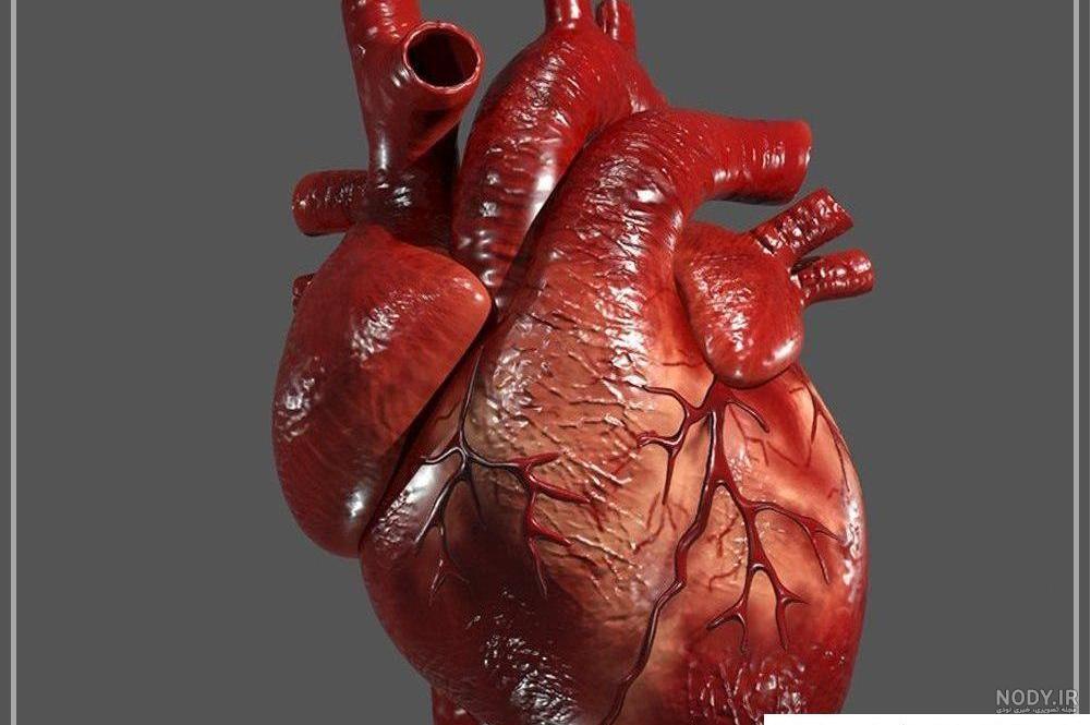 عکس ساده قلب
