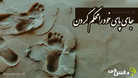 عکس ضرب المثل اشک تمساح