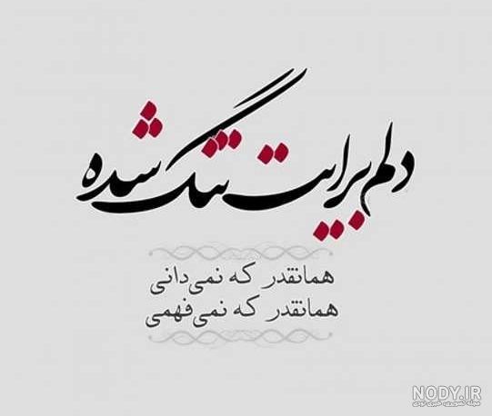 عکس پروفایل نوشته دار تنهایی - عکس نودی