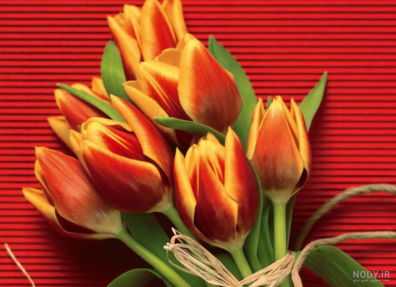 عکس پروفایل گل های زیبا
