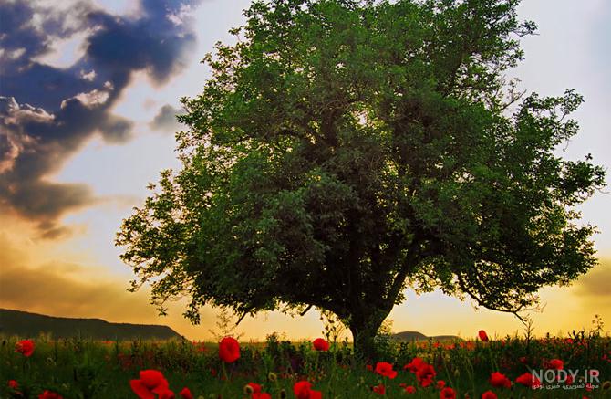 مجموعه عکس دختر زیبا ایرانی برای پروفایل (جدید)