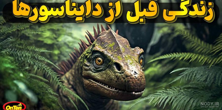 معرفی عجیب ترین حیوانات/ دایناسور زنده در قرن 21+ تصاویر | پایگاه ...