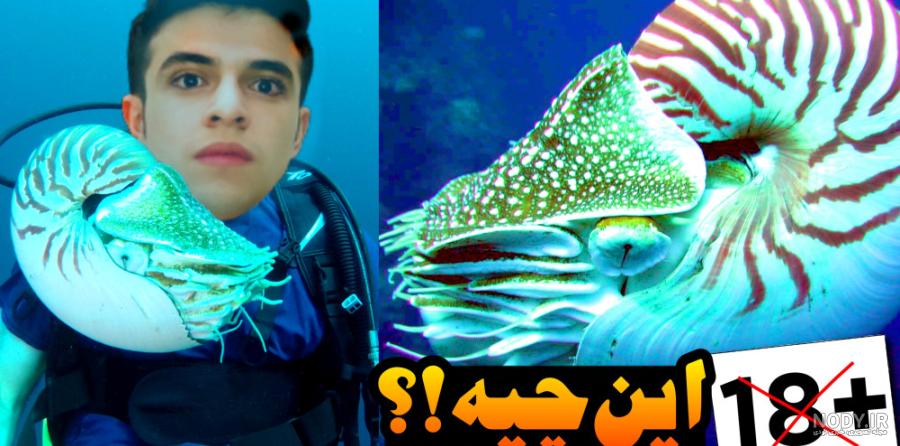 چالش دایناسورها در برابر مشت افسانه ای