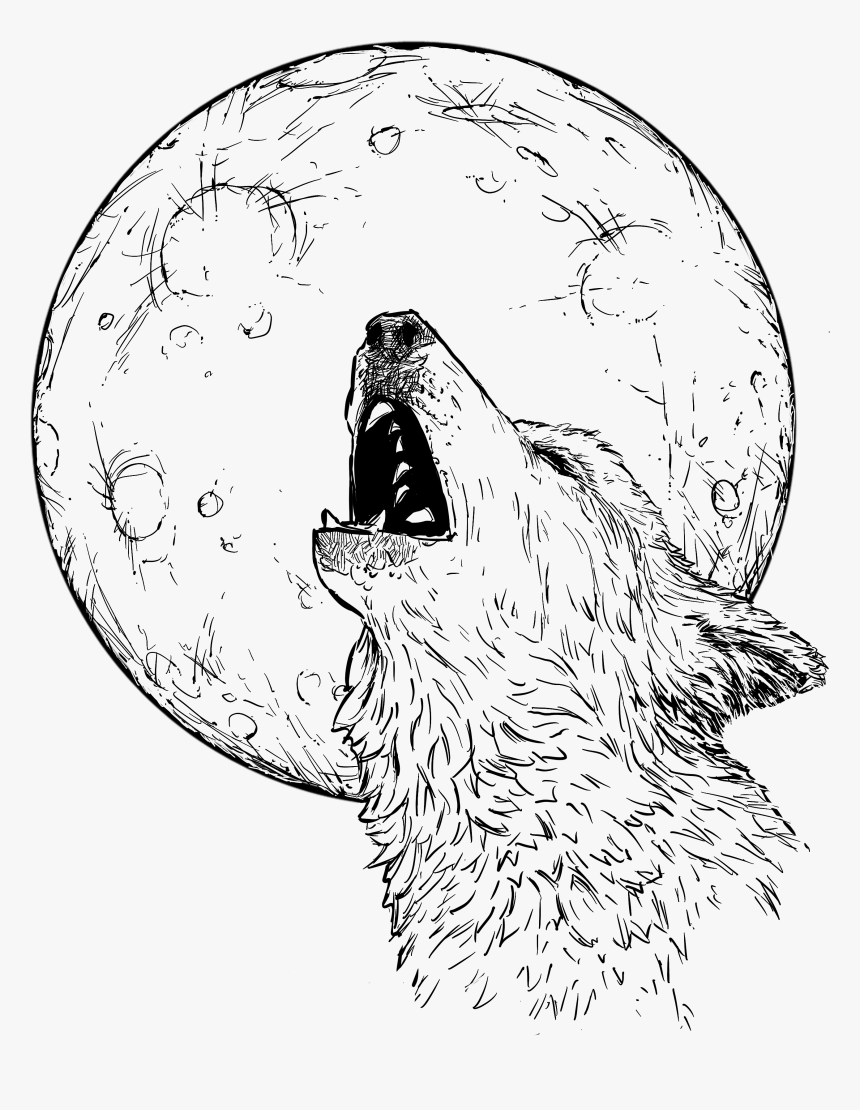Wolf Howling At Full Moon Drawing
