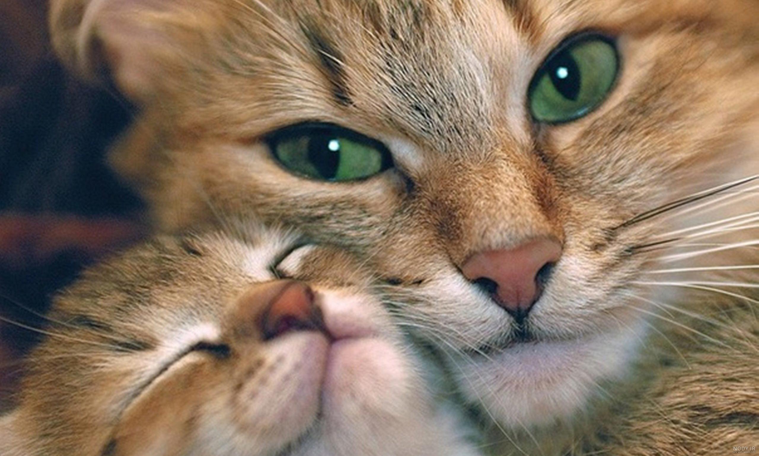 What a Lovely Face - 30th September 2015