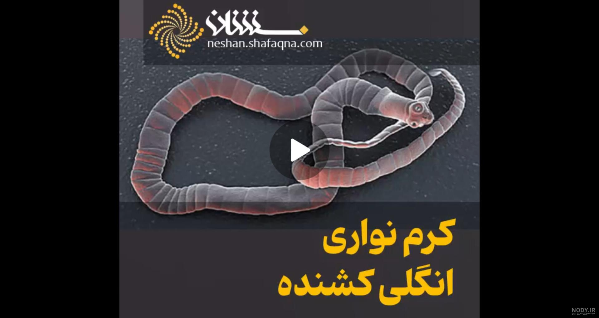 اولین تصویر از حجر الاسود کعبه در مکه + فیلم