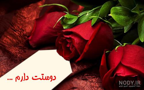 تصاویر پروفایلی از گل رز قرمز/ زیباترین گل های رز به صورت تکی و ...