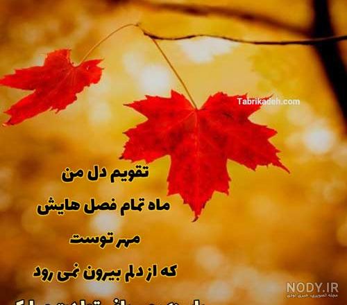 جذاب ترین متن های تبریک تولد پاییزی های دلبر