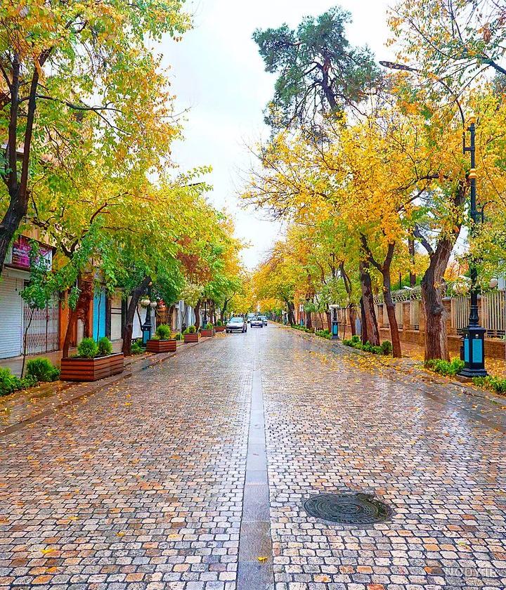 در خیابان طالقانی شیراز پاییز را حس کنید+عکس