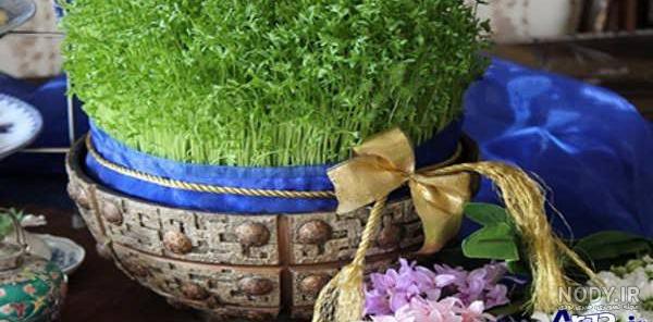 سبزه هفت سین با جدیدترین ایده ها تزیینات :: ایجیگا