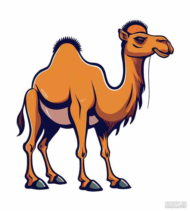 عکس از شترمرغ کارتونی