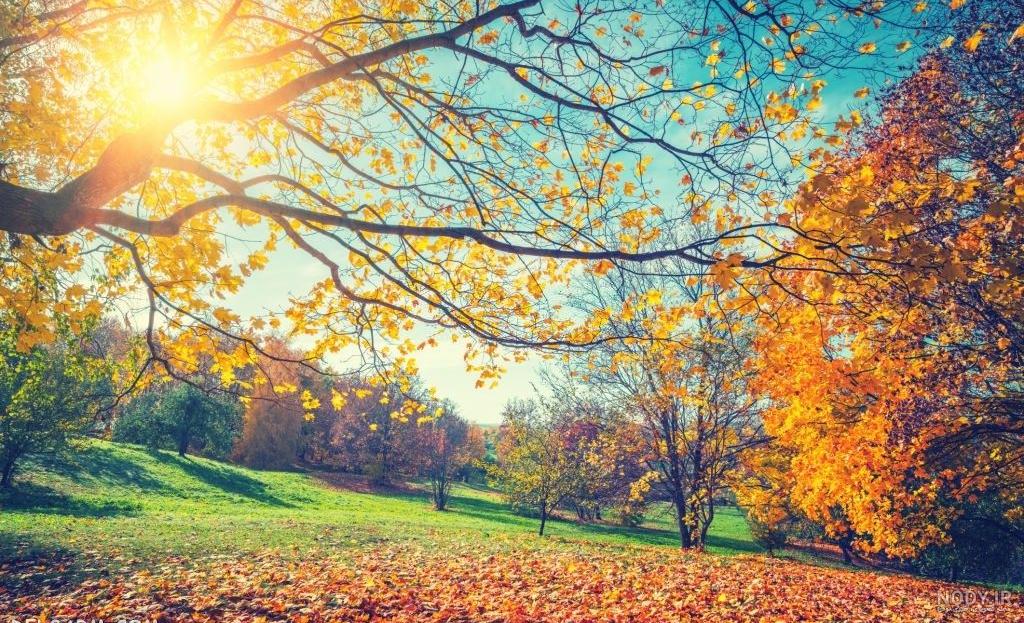 عکس تصویر زمینه گوشی پاییزی عکس تصویر زمینه گوشی پاییزی