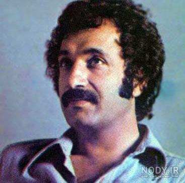عکس حامد فرد جدید