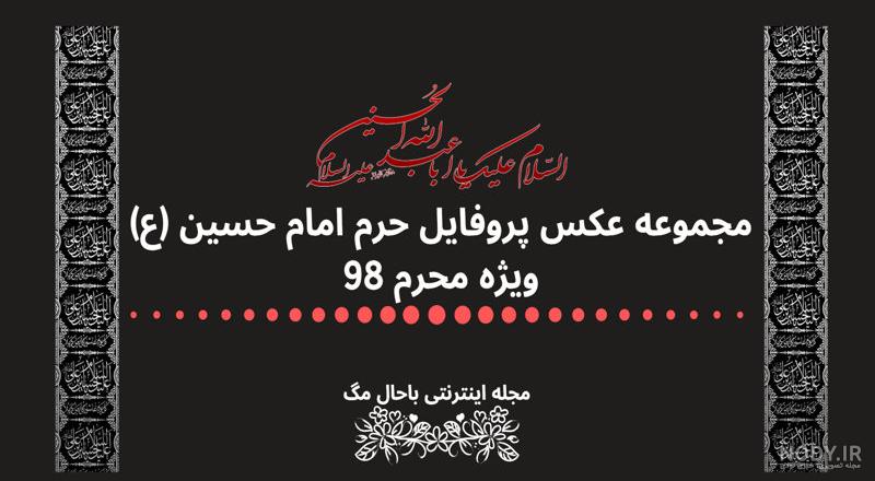 عکس حرم امام حسین و دختر
