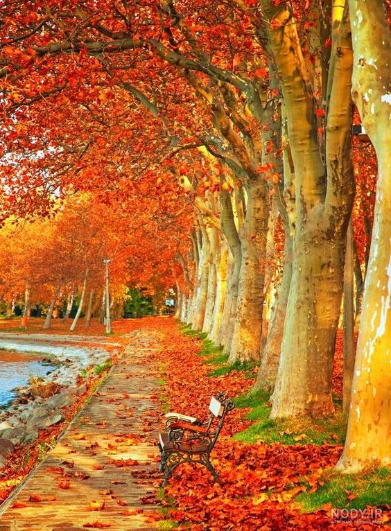 عکس زمینه گوشی پاییزی عکس زمینه گوشی پاییزی