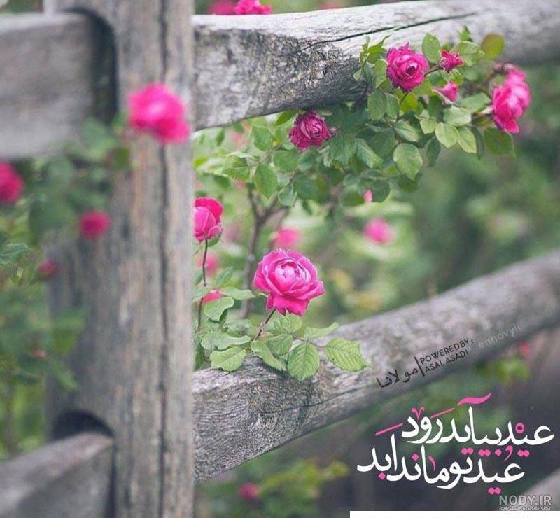 عکس های شاد عاشقانه عکس های شاد عاشقانه