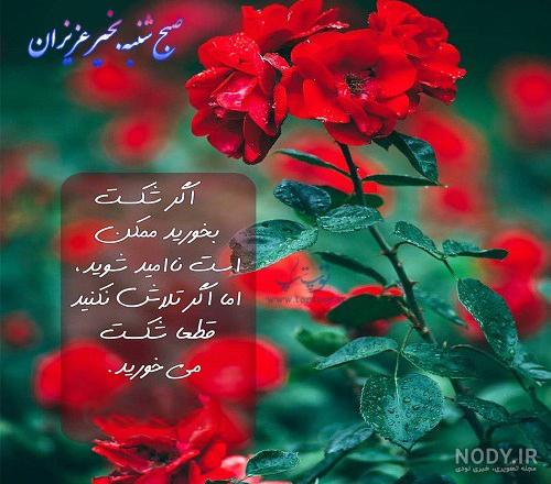 عکس صبح بخیر نوروزی