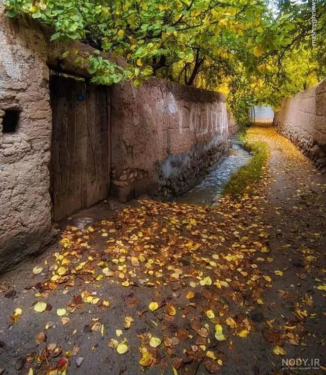 عکس/ فصل پاییز در کوچه باغ‌های تفت