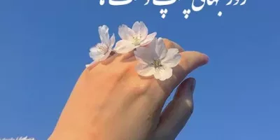 عکس ممد قلی و صداش