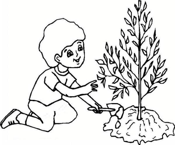 عکس منظره ساده برای نقاشی - عکس نودی