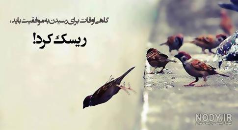 عکس نوشته باید رها کرد عکس نوشته باید رها کرد
