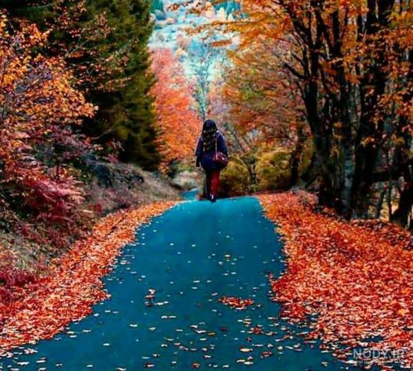 مشرق نیوز - عکس/ پاییز زیبا در کوچه‌های کاه‌گلی یزد