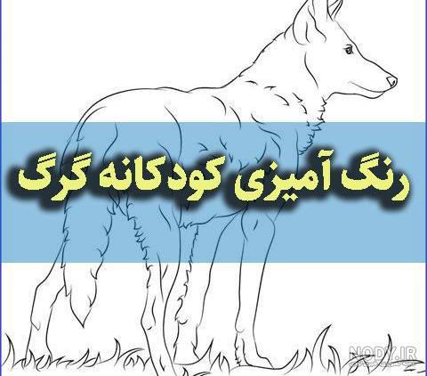 نقاشی گرگ کودکانه ؛ عکس آسان و سخت گرگ برای رنگ آمیزی- دلبرانه